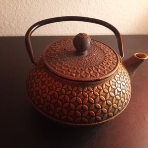 Tetsubin Japanese Cast Iron strainer Tea Kettle